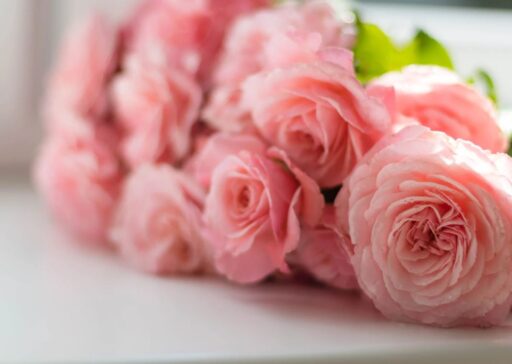 Hoa tươi là món quà 20/10 ý nghĩa dành cho mẹ, thể hiện tình cảm, lòng biết ơn và lời chúc tốt lành